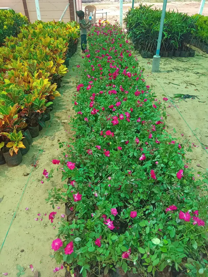 WhatsApp Image 2025-06-06 at 3.44.14 PM (2)